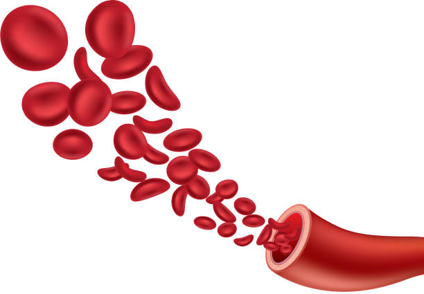 krwinka czerwona - blood cell anemia cell structure red blood cell stock illustrations