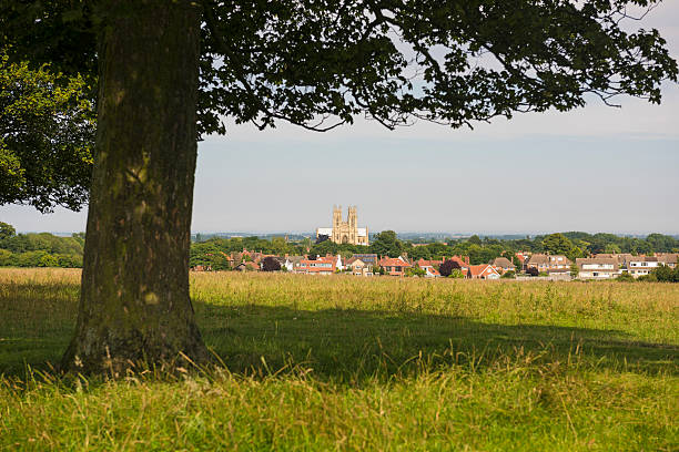 istock Beverley Minster and Westwood 507316079