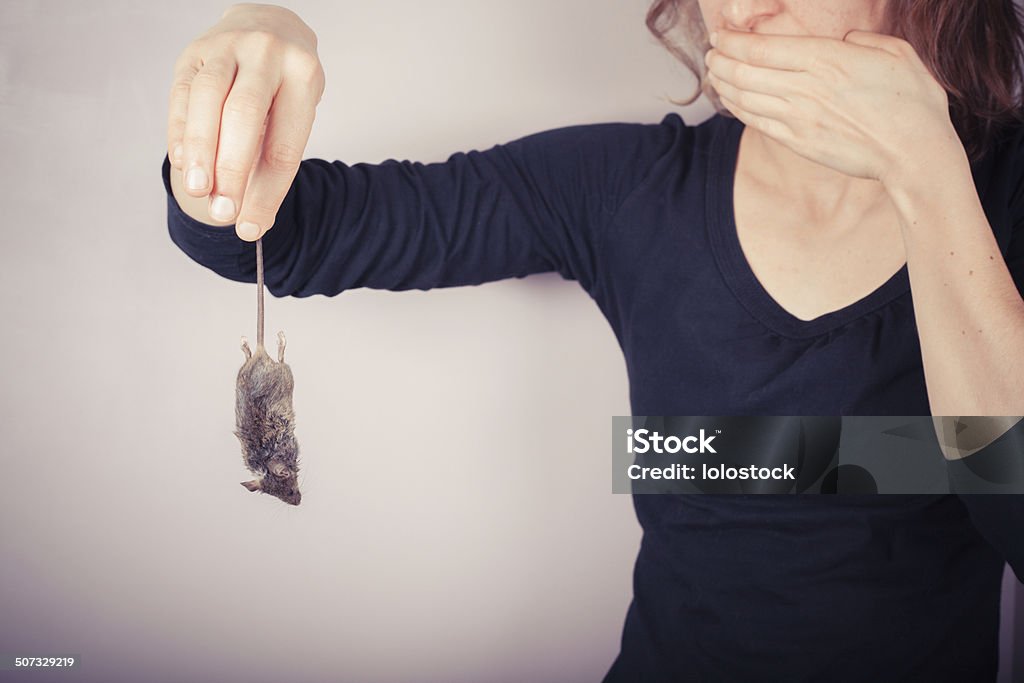 Disgusted woman holding dead mouse A squeamish and disgusted woman is holding a dead mouse by it's tail Fear Stock Photo