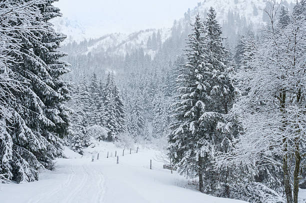istock Winter Landscape with Snow and Trees 507333275