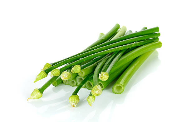 istock onion flowers isolated on white background 507361184