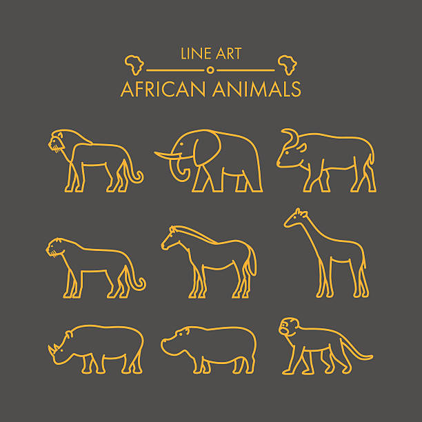 Vector line african animals icon set. Vector line african animals icon set. Linear figure lion, cheetah, leopard, elephant, buffalo and giraffe. buffalo iowa stock illustrations