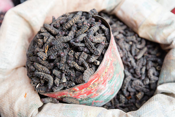 Smoked silkworms, Burkina Faso