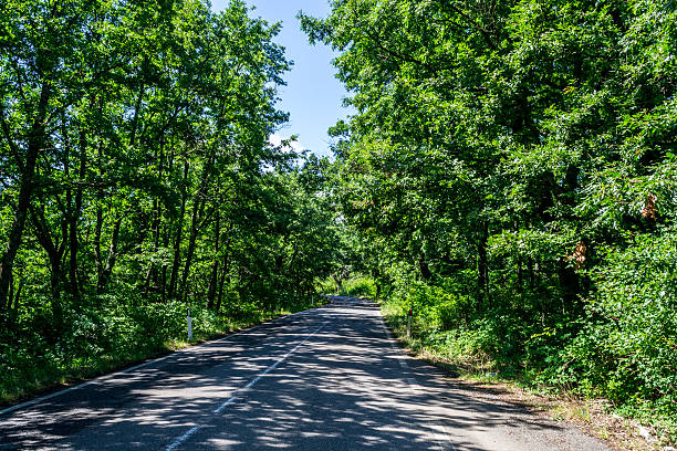 istock Road in Tuscany land 507370223