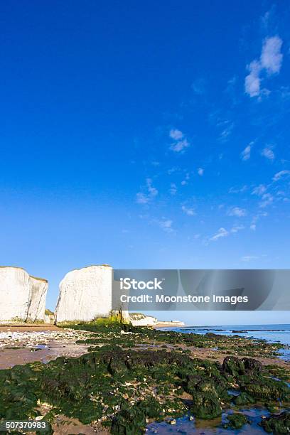 Zatoka Botaniczna W Kent Anglia - zdjęcia stockowe i więcej obrazów Anglia - Anglia, Anglia Południowo-wschodnia, Bez ludzi