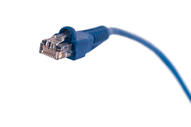 Blue Net Rj45 110+ Rj 45 Connectors Stock Photos, Pictures & Royalty-Free Images - iStock