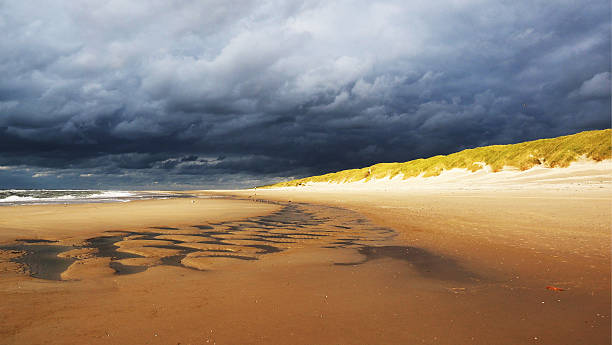 пляж с голубым небом, texel угрозу для жизни. - wadden wadden sea unesco world heritage site sea стоковые фото и изображения