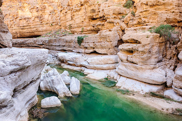 omã wadi - leito de rio imagens e fotografias de stock