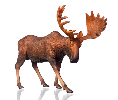 Beautiful collectible figure of an elk on white background with reflection.