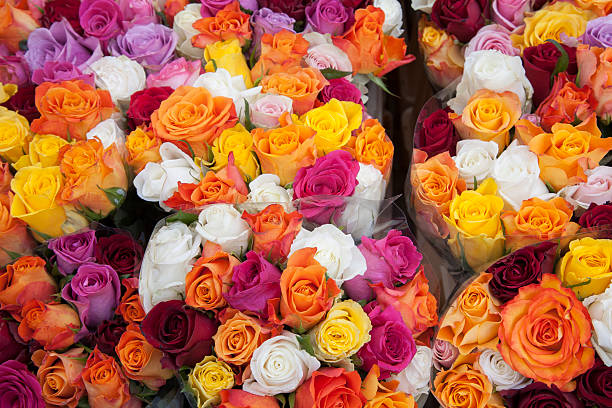 istock Colored Roses on Sale in Market, Bonn 507374420