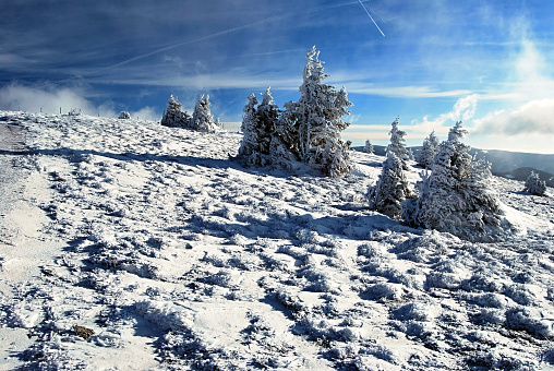 beautiful winter landscape in Fischbacher Alpen in Styria with dew small trees, blue sky and only few clouds