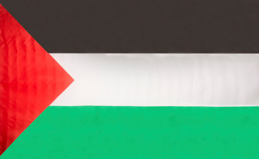 Flag of Palestine 
