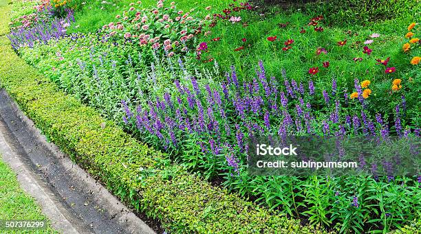 Coloridas Flores En Los Jardines Foto de stock y más banco de imágenes de Aire libre - Aire libre, Ajardinado, Azul