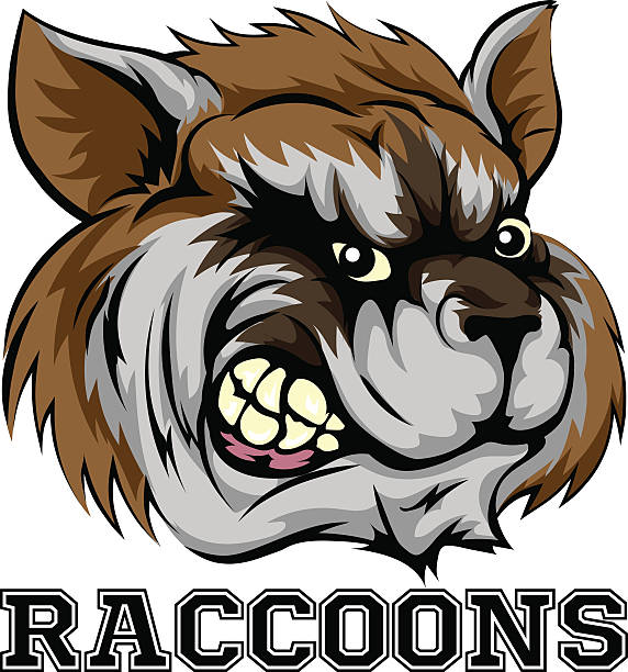 Raccoons Mascot An illustration of a cartoon raccoon sports team mascot with the text Raccoons mean raccoon stock illustrations
