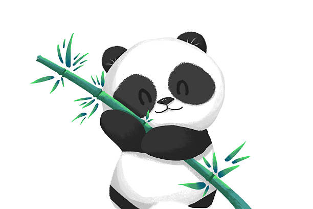 Illustration Cute Panda Baby With Its Bamboo Food Stock Illustration -  Download Image Now - Abstract, Animal, Animal Markings - iStock