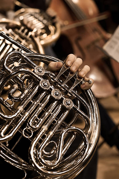 trompa nas mãos de um músico - brass band french horn brass instrument music - fotografias e filmes do acervo