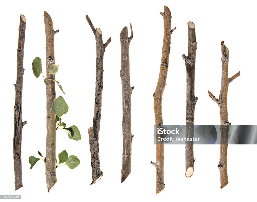 Twigs and Sticks Isolated on White Twigs isolated on white. Stick - Plant Part Stock Photo