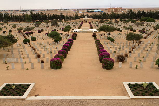 commonwealth cimetière de guerre à el alamein en égypte - alamein photos et images de collection