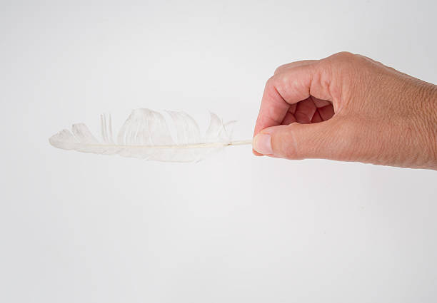 istock Hand offering white feather - concept. Defeat, cowardice, beaten. 507395371