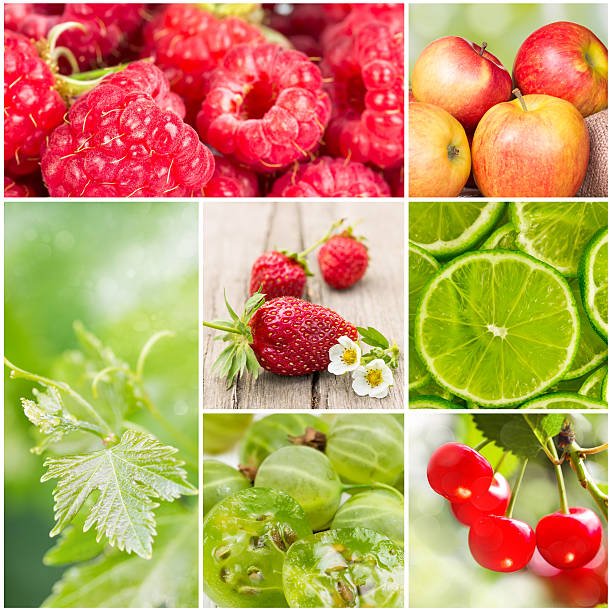 istock collage of summer fruits 507395629