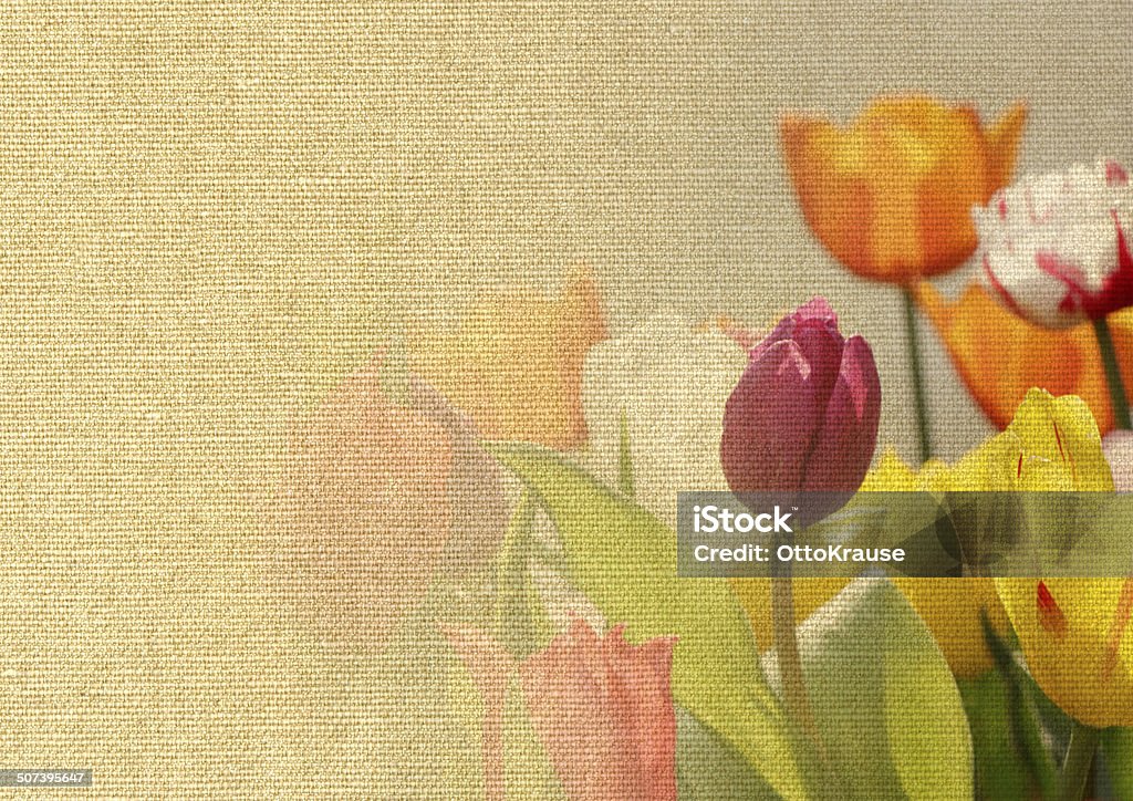 tulips on canvas texture colorful tulips on canvas texture background Artist's Canvas Stock Photo