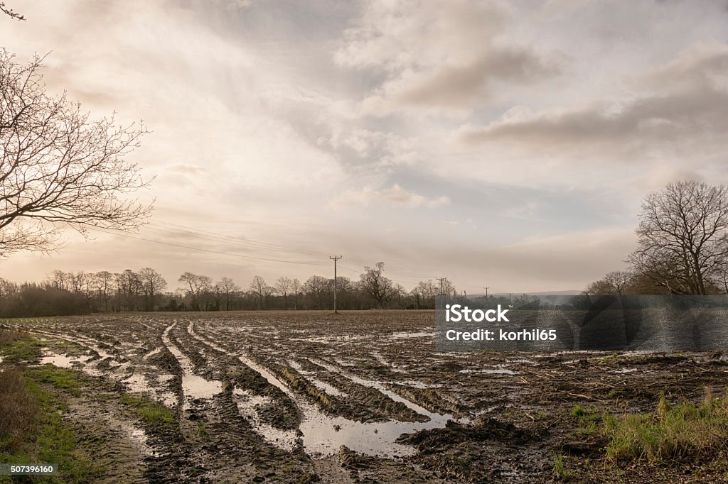 Water logged fields After the rain has fallen...  Local farm fields saturated with water Farm Stock Photo