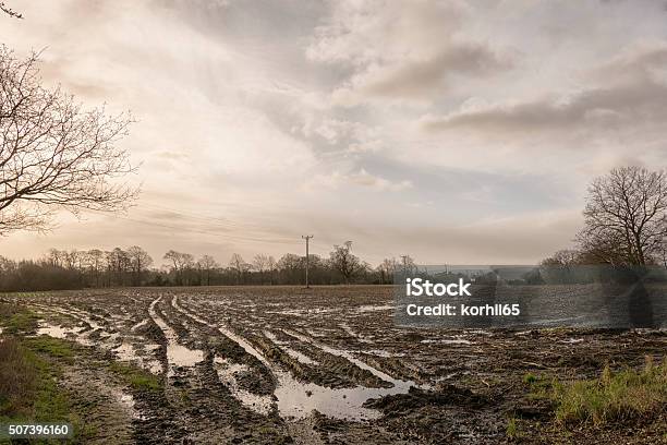 Water Logged Fields Stock Photo - Download Image Now - Farm, Wet, Agricultural Field