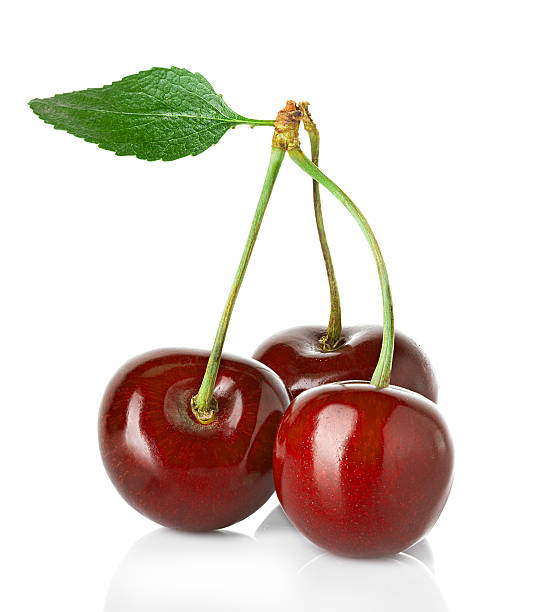 istock Sweet cherries with the leaf isolated on a white background. 507397479