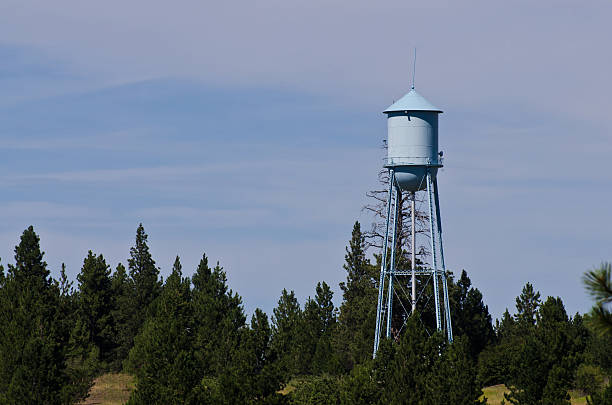 istock Water Tower Standing Above the Trees 507397661