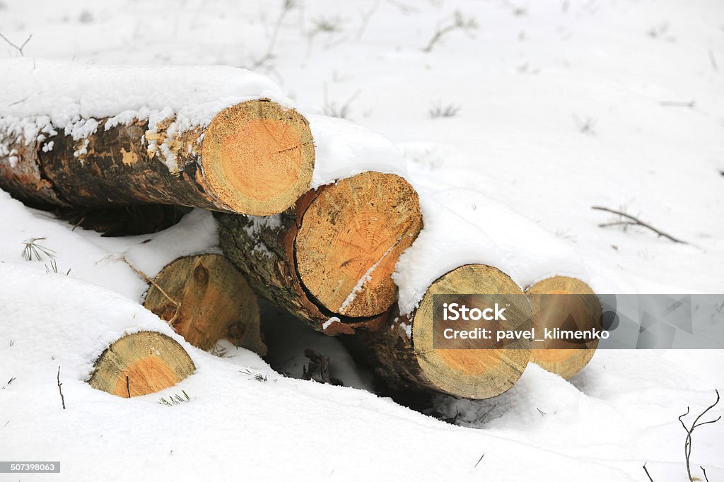 wooden logs under snow wooden logs under snow in winter forest Below Stock Photo