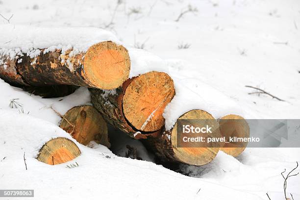 Wooden Logs Under Snow Stock Photo - Download Image Now - Below, Brown, Climate