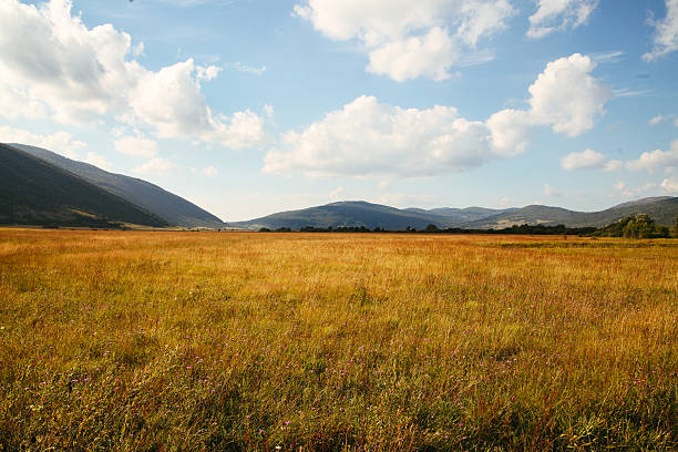 istock vintage toned summer valley 507398477