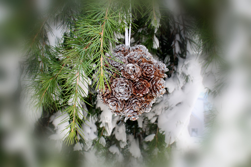 Beautiful silvery snow covered pine cone. 