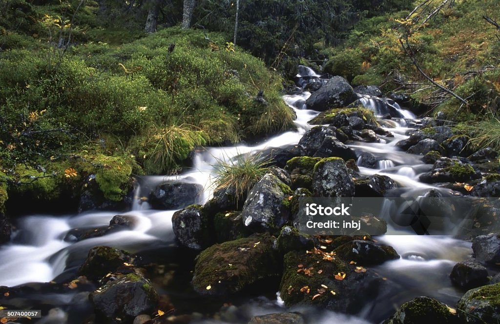 Mountain stream Backgrounds Stock Photo