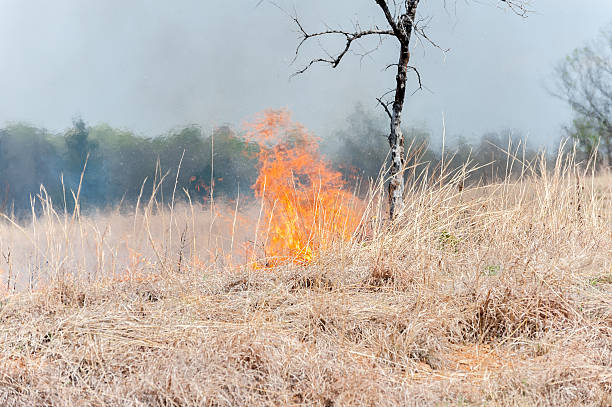 feu de paille sur la prairie - nebraska midwest usa farm prairie photos et images de collection