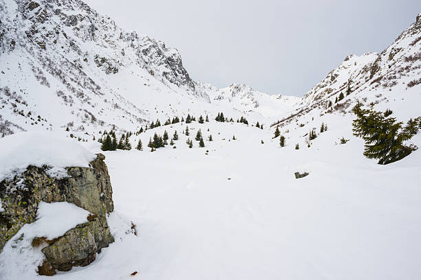 istock Winter Landscape with Snow and Trees 507401213