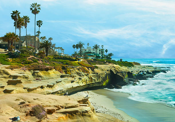 istock Coastal Beach and Palm Trees San Diego, California 507401537