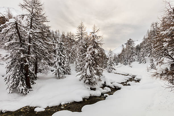 istock Livigno in winter, Italy 507401611