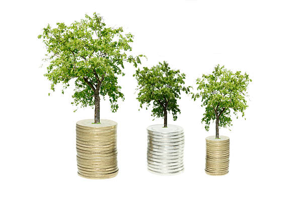 istock three Coins and plant, isolated over white background 507401630