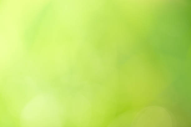 istock Abstract circular green bokeh background. 507401722