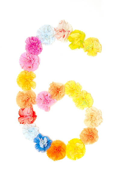 Number 6 alphabet flowers made from paper craftwork