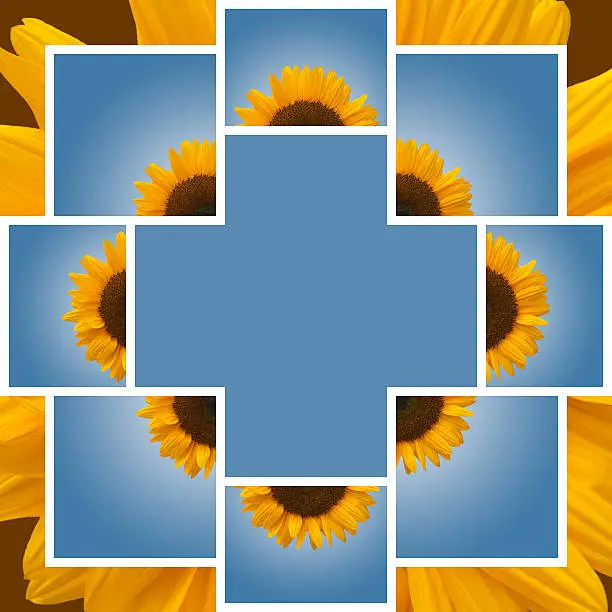 Sunflower Collage Blue Freespace on Brown Background with Halo and Burst Effect