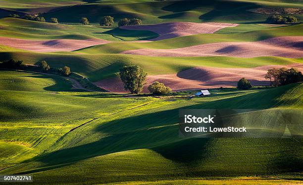 Steptoe Butte Washington Stock Photo - Download Image Now - East, Washington State, Landscape - Scenery