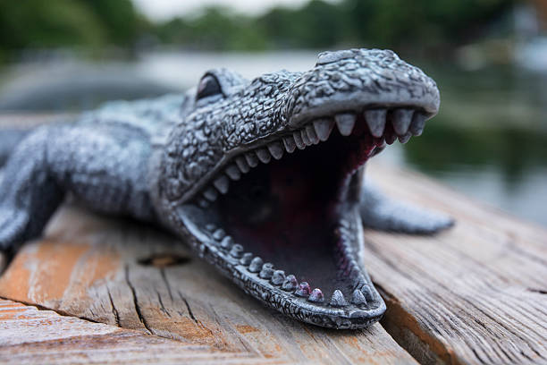 Plastic Alligator Toy Macro Of Snapping Jaws And Teeth Stock Photo -  Download Image Now - iStock