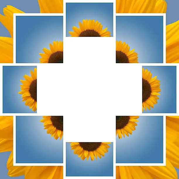 Sunflower Collage Whte Freespace on Blue Background with Halo and Burst Effect