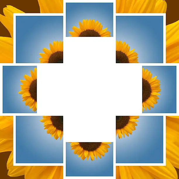 Sunflower Collage White Freespace on Brown Background with Halo and Burst Effect