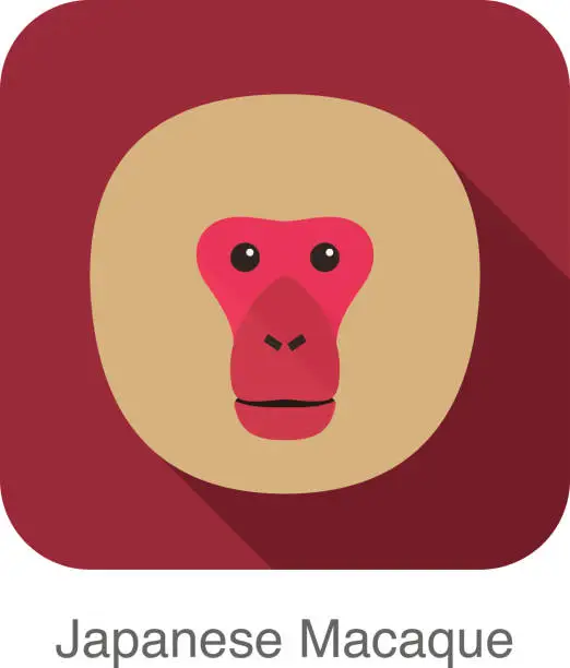 Vector illustration of Japanese snow macaque face flat icon design