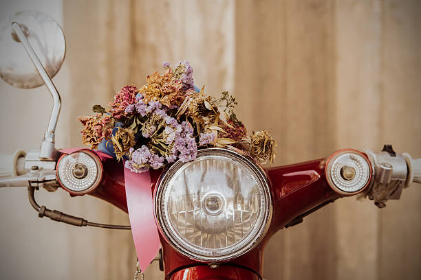 istock old red motorcycles and old dry bouquet 507404468