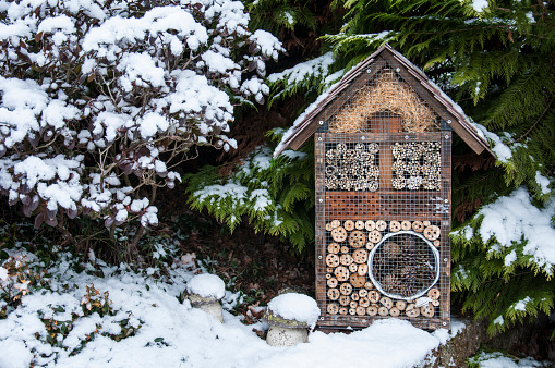 insect house in the forest