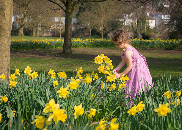 istock Young girl holding a bunch of daffodils. 507421472